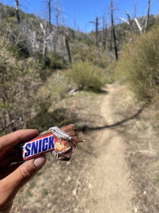 Snickers on trail